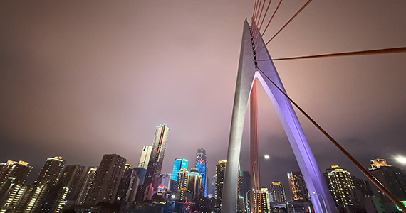 灵寿电商域名注册平台官网查询