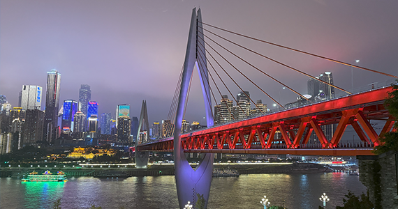 通州区电商域名注册资格查询